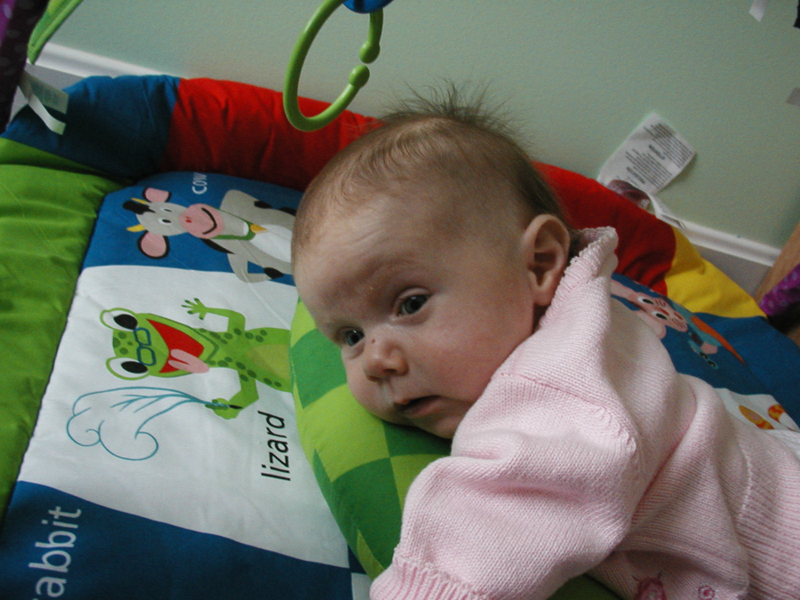 Picture 954