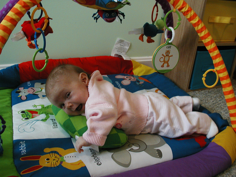 Picture 976
