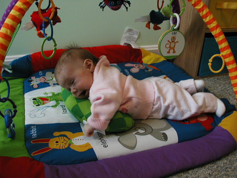 Picture 977