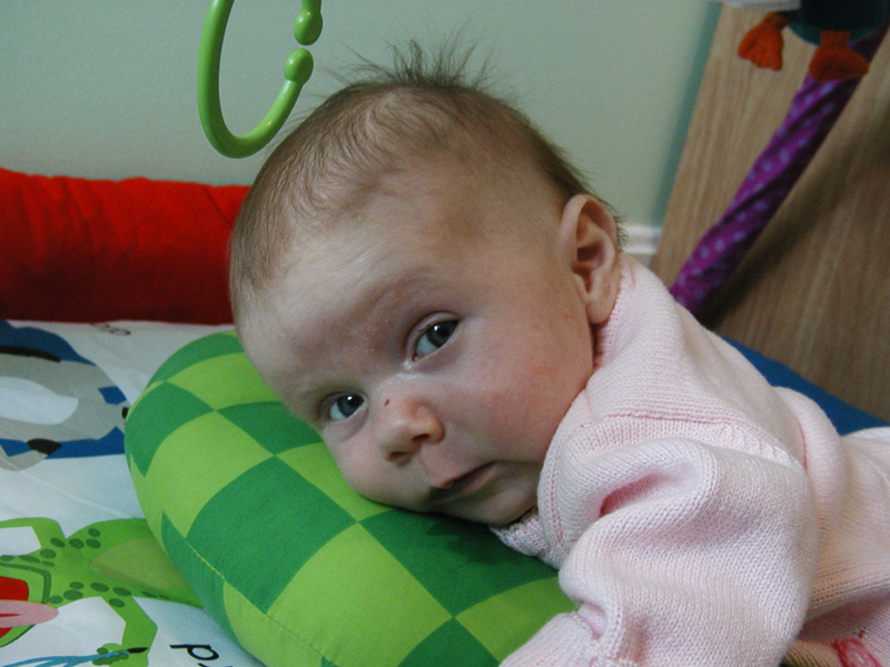 Picture 988