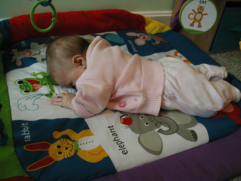 Picture 991