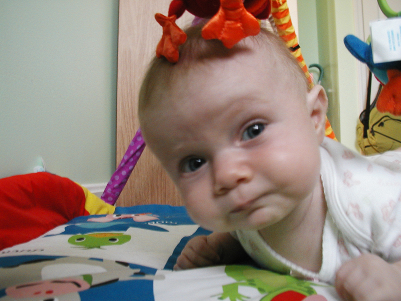 Picture 1703