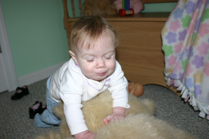 Picture 1284