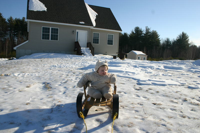 Picture 1235