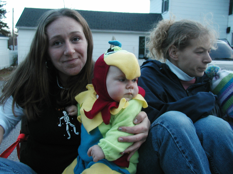 Picture 538