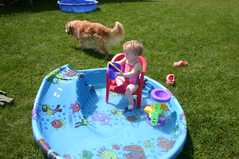 Picture 3618