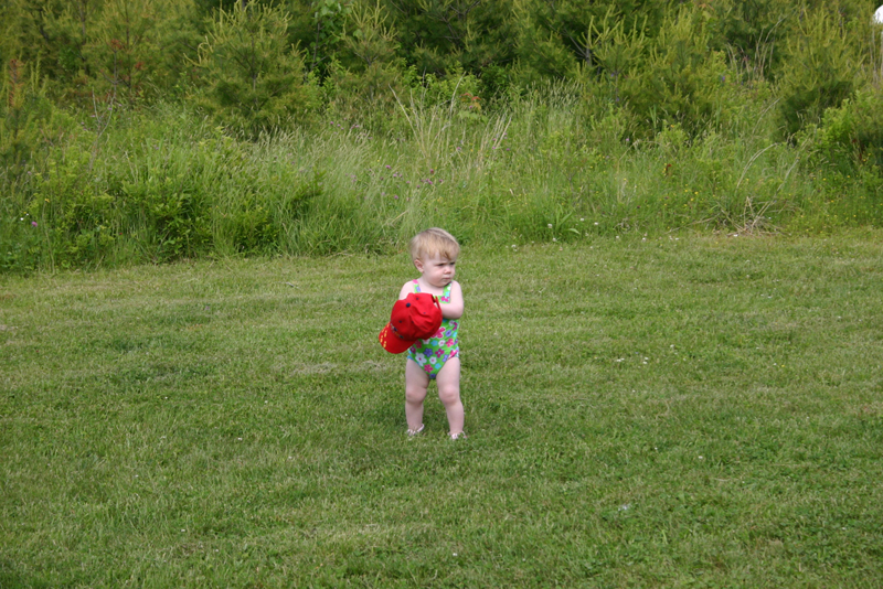 Picture 3737