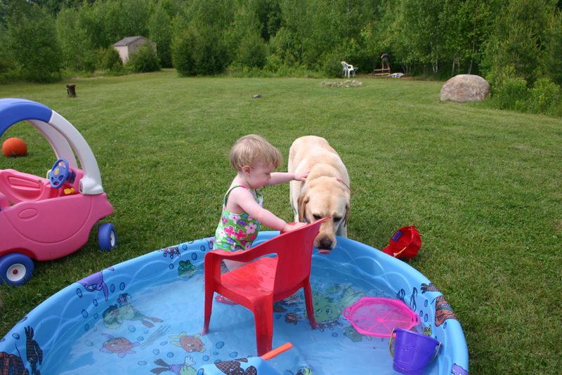 Picture 3751