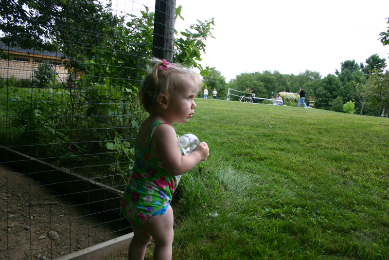 Picture 5798