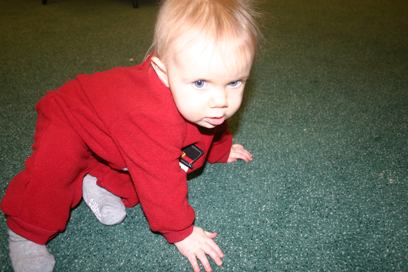 Picture 1337