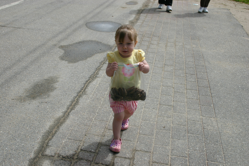 Picture 12237