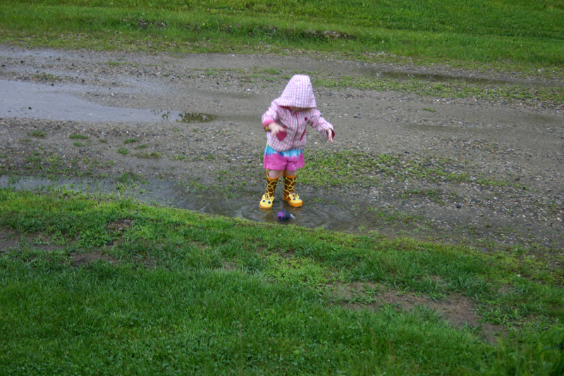 Picture 14098