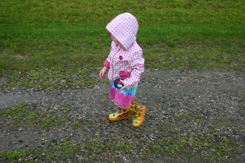 Picture 14103