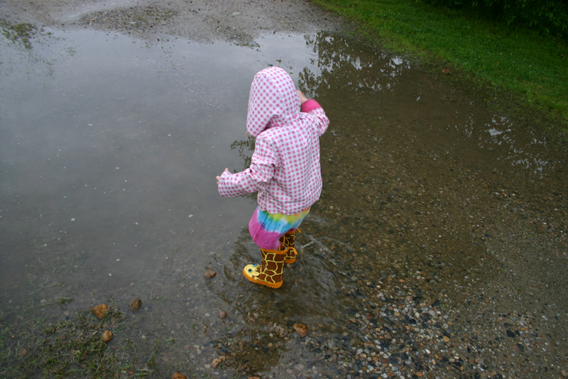 Picture 14105