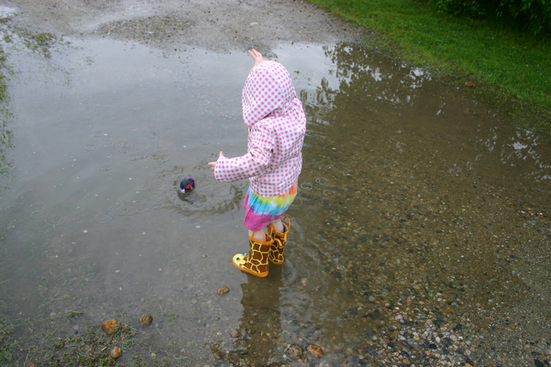 Picture 14106