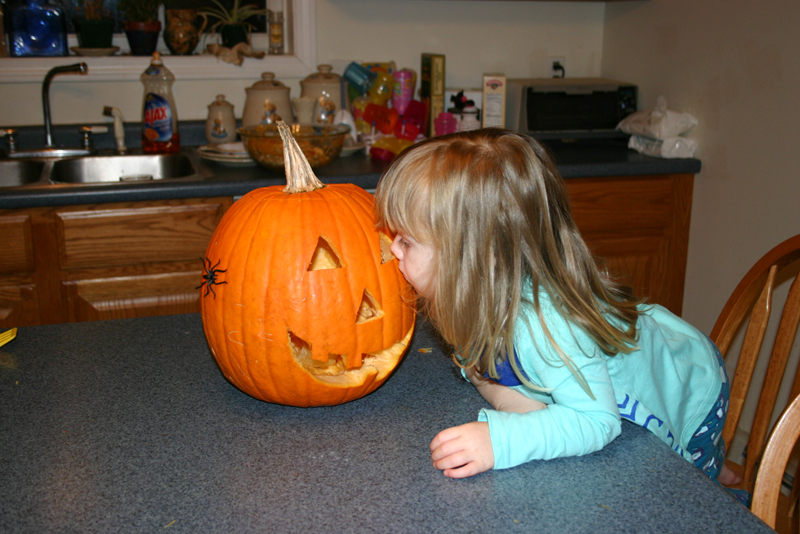 Picture 16270
