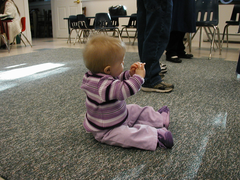 Picture 2335