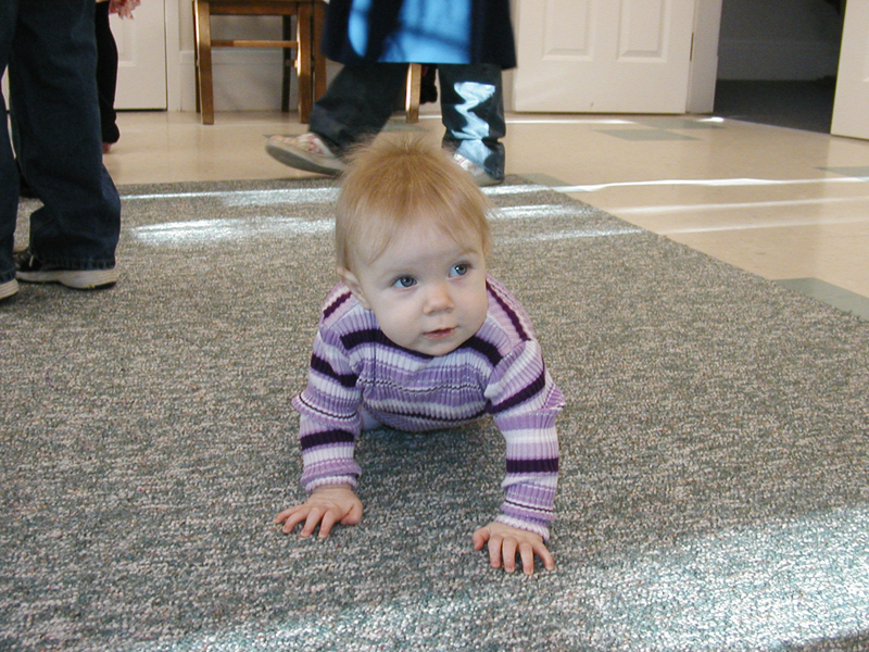 Picture 2344