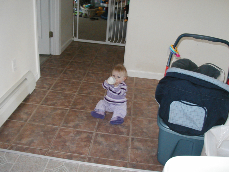 Picture 2352