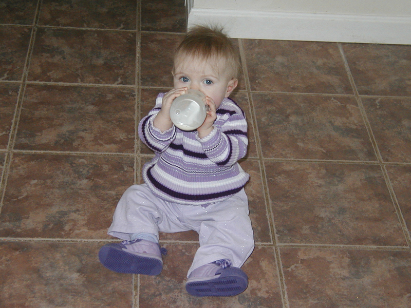 Picture 2354