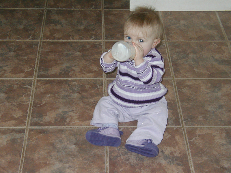 Picture 2356