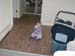 Picture 2352