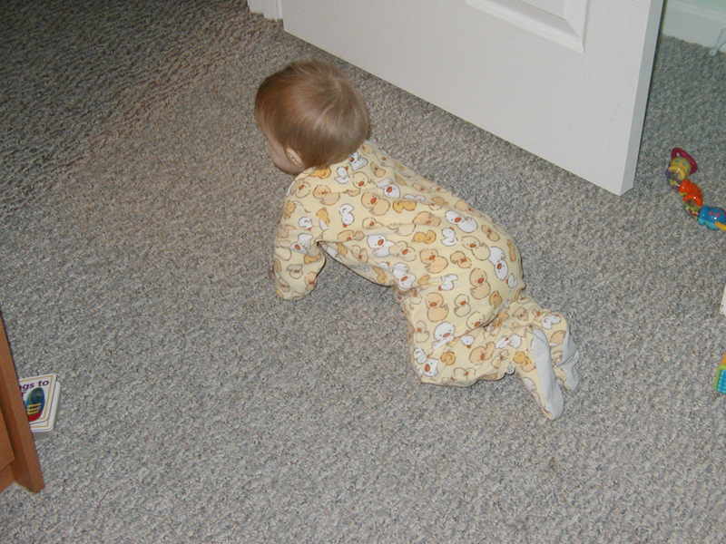 Picture 086