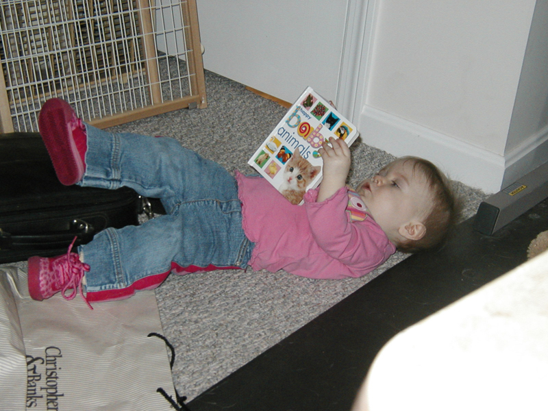 Picture 073