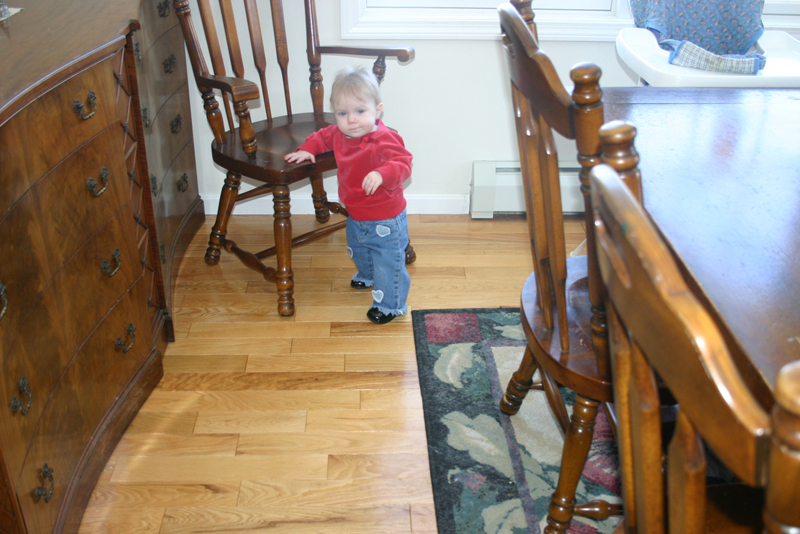Picture 2291