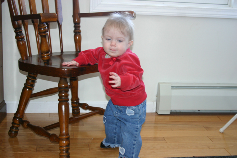 Picture 2293