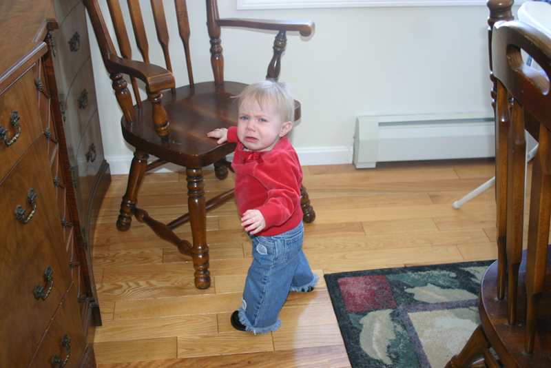 Picture 2298