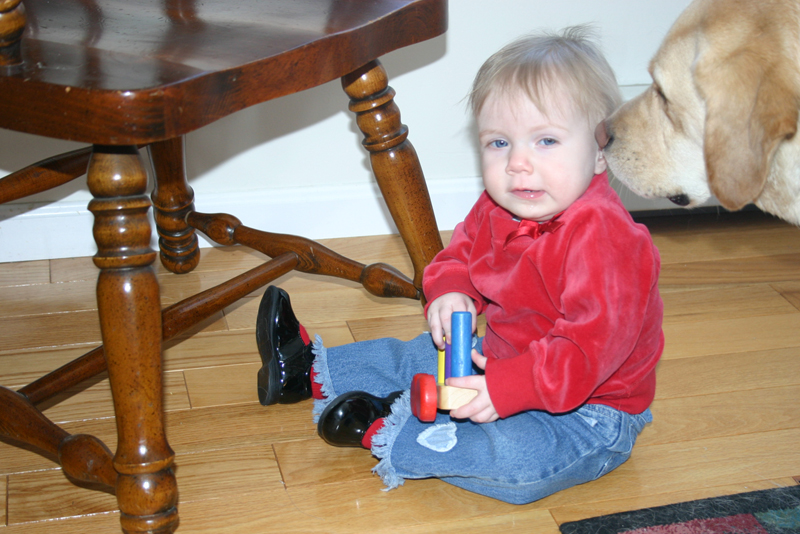 Picture 2316