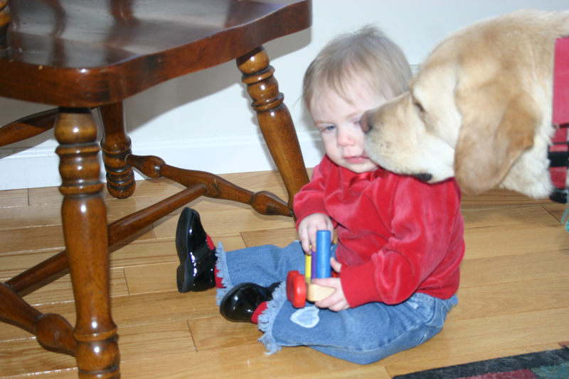 Picture 2317
