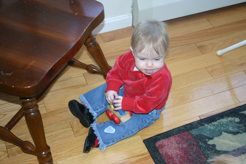 Picture 2318