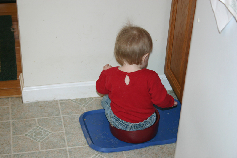 Picture 555