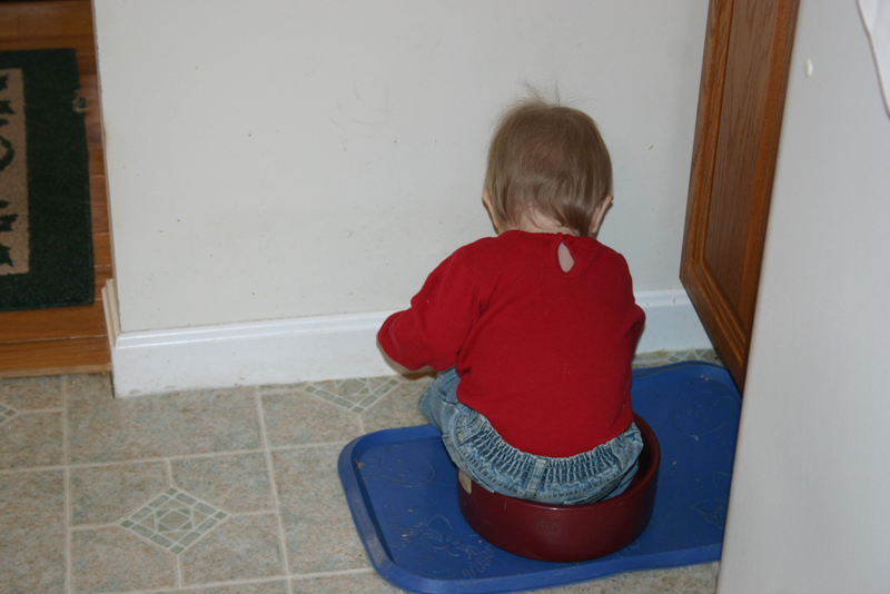 Picture 556