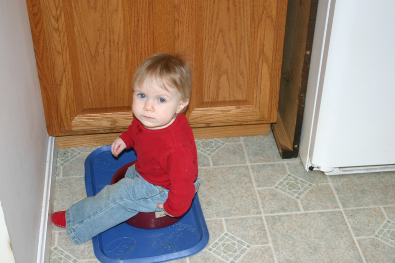 Picture 558