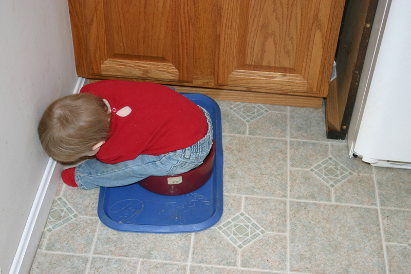 Picture 561