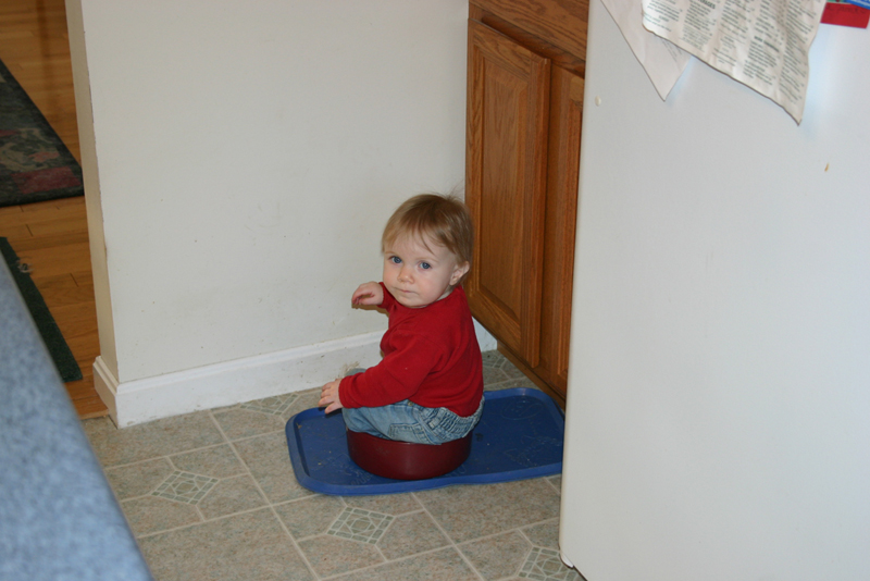 Picture 566