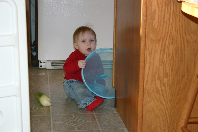 Picture 591