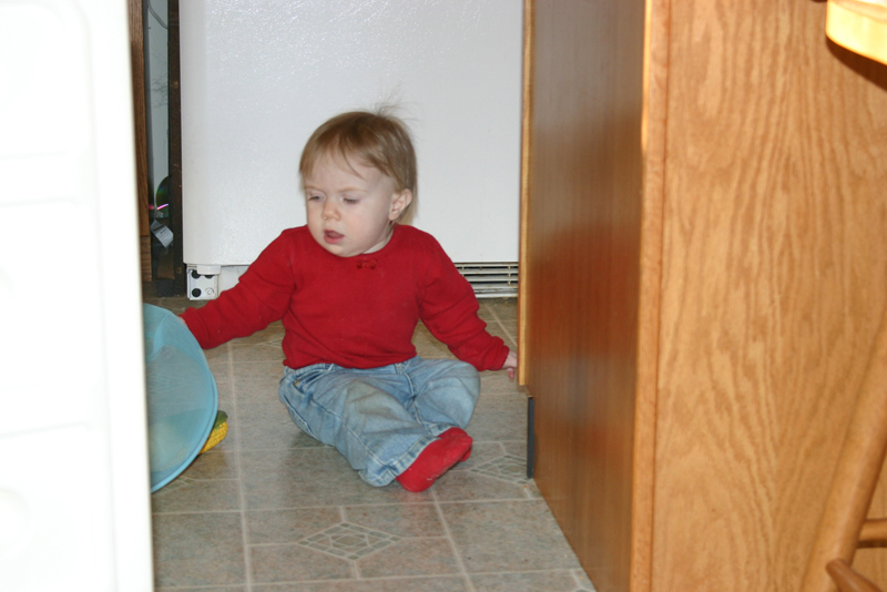 Picture 592