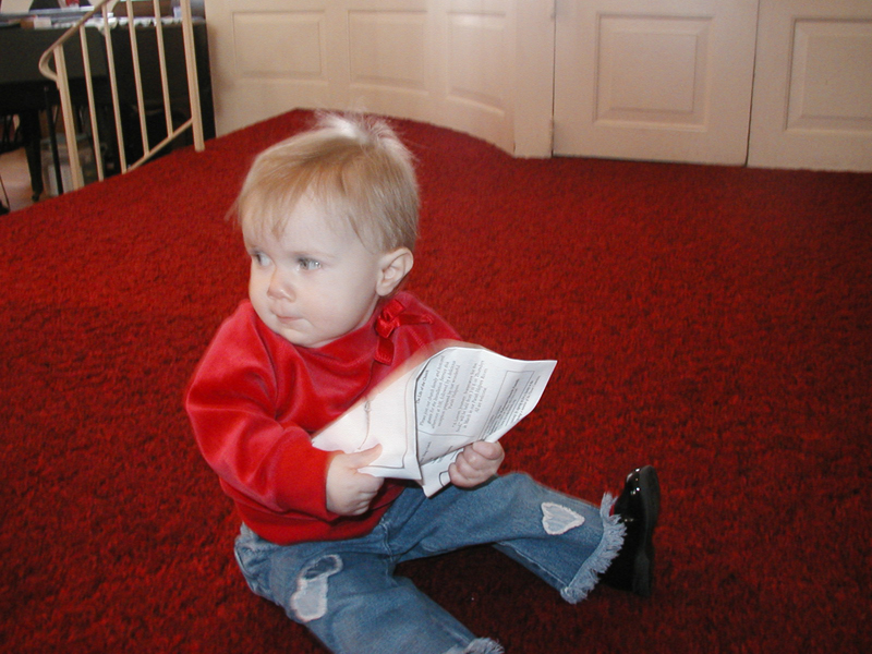 Picture 2336