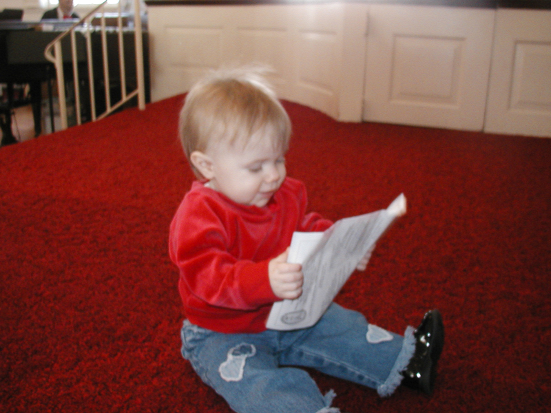 Picture 2339