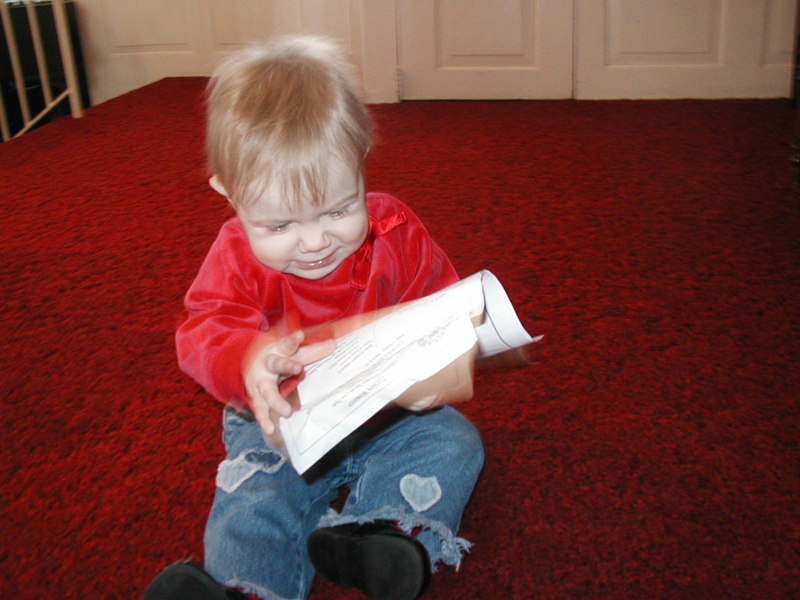 Picture 2343