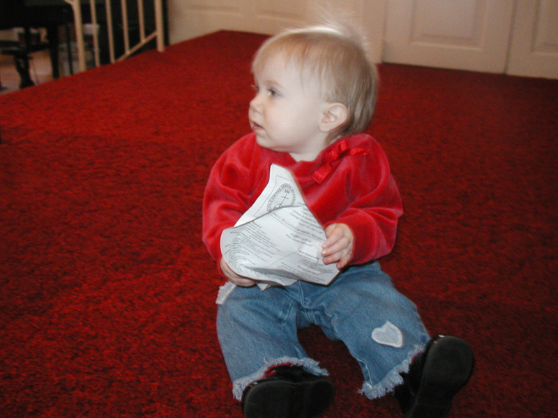 Picture 2345