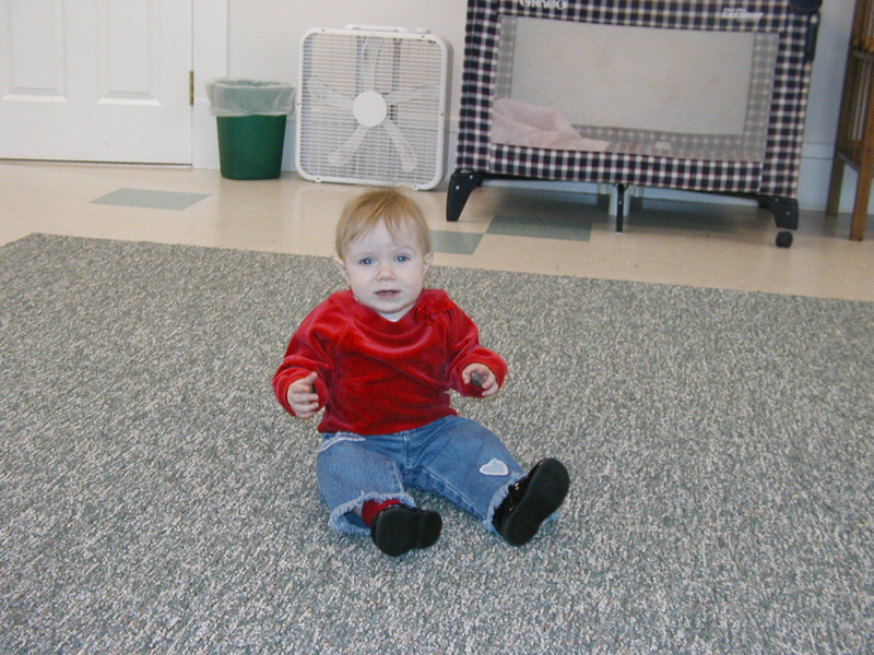 Picture 2351