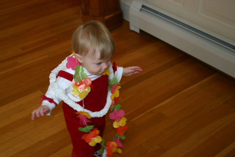 Picture 2622