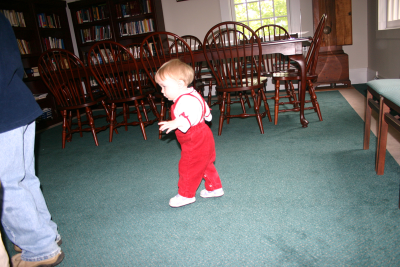 Picture 2628
