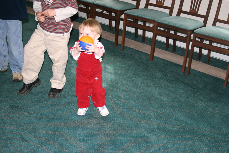 Picture 2633