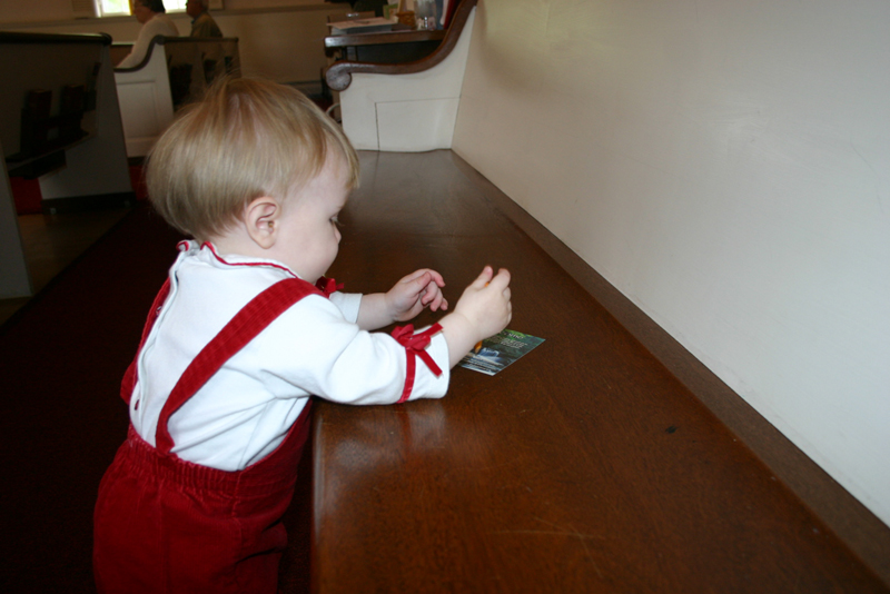 Picture 2638